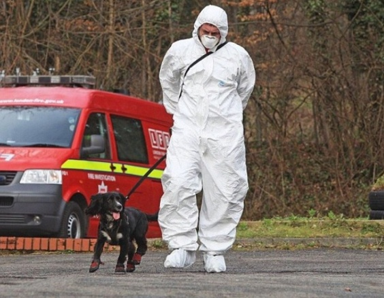 Woman with a dog in protective gear